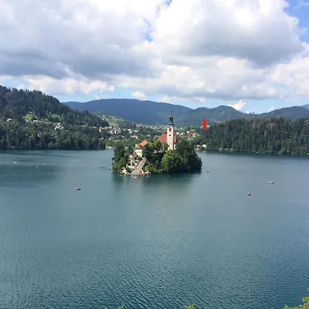 Petek Bled