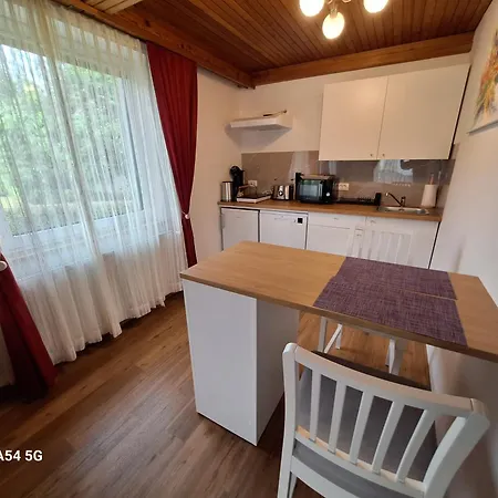 Apartment Petek *