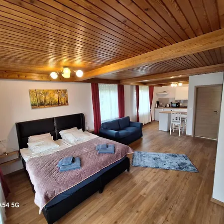 Petek Apartment Bled