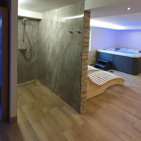 Apartment Petek *