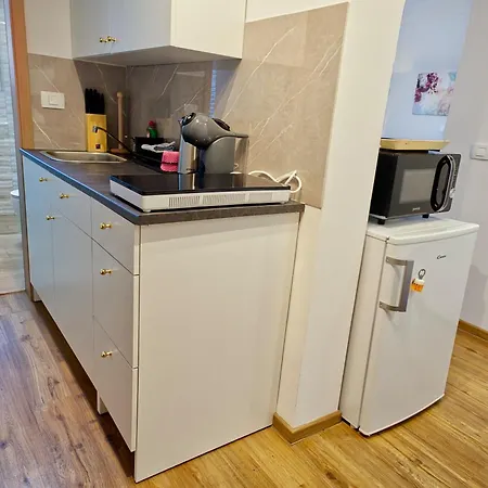 Apartment Petek Bled