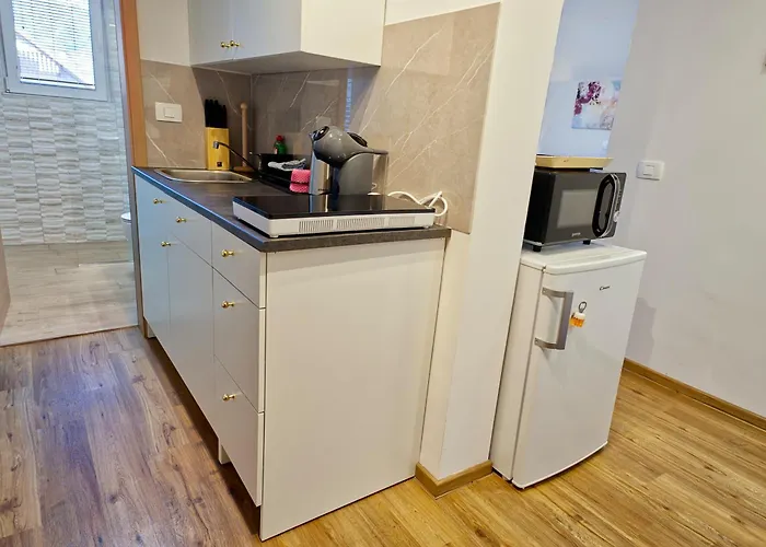 Apartament Petek Bled